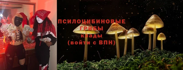 скорость mdpv Новодвинск