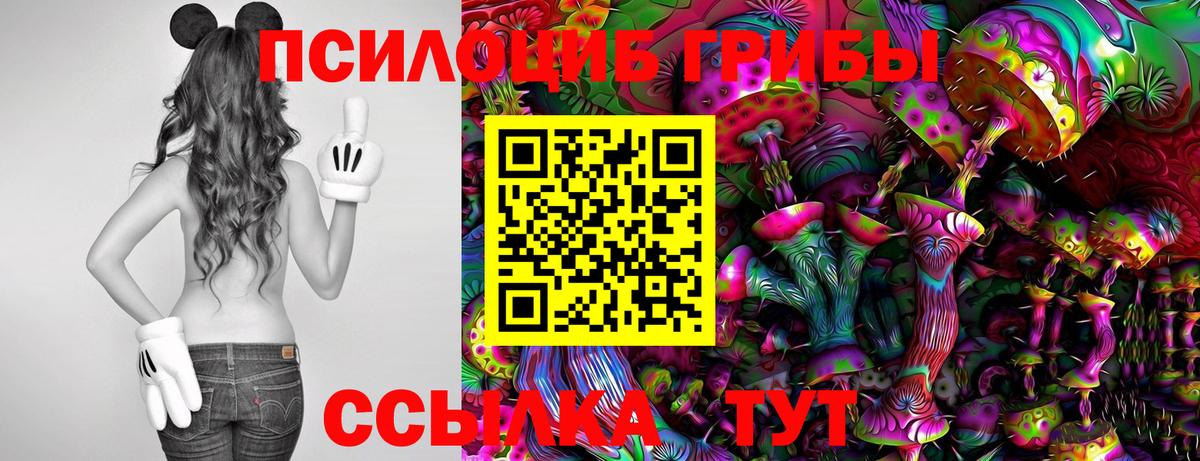 Галлюциногенные грибы мицелий  Барнаул 