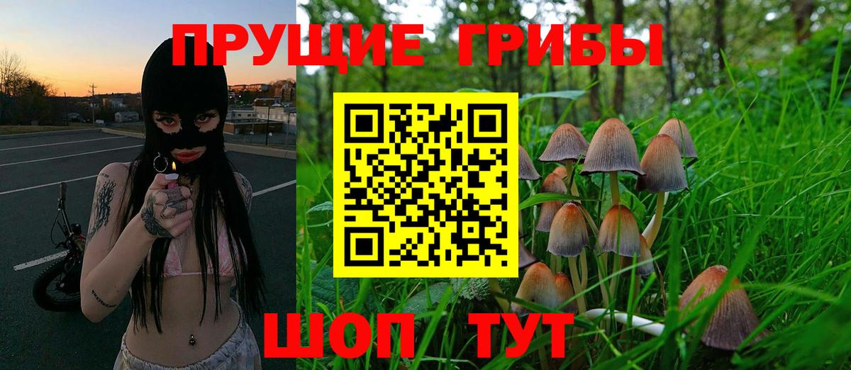 Галлюциногенные грибы прущие грибы Барнаул